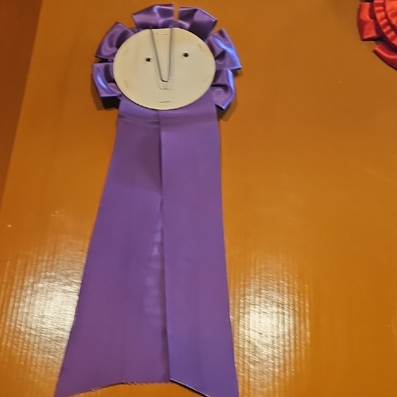 4 Vintage original 1967 1968 Horse Show Rosettes Bosque Farms Rodeo Ass'n - Picture 6 of 15